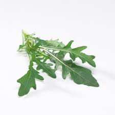 Image result for Diplotaxis tenuifolia