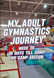 Image result for Arabian School Of Gymnastics, Milton Keynes