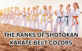 Image result for Shotokan Karate