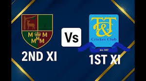 Image result for Theale and Tilehurst Cricket Club