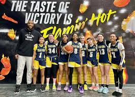 Image result for Blackpool Lights Ladies Basketball Club