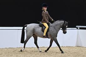 Image result for Liverpool Equestrian Club