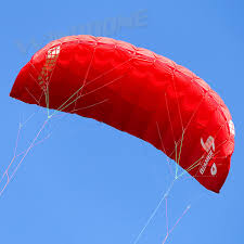 Image result for Baiter Power Kite