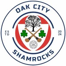 Image result for Shamrocks Hurling & Football Club