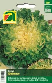 Image result for Endivie