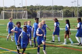 Image result for Rosedale Old Cestrians Sports Club