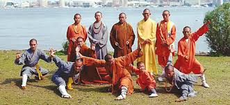 Image result for Shaolin Ancestors kung Fu School