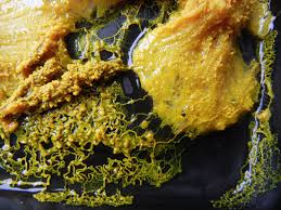 Attēlu rezultāti vaicājumam “Badhamia affinis spores”