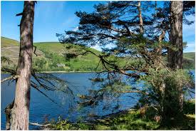 Image result for St Mary's Loch Sailing Club