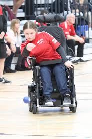 Image result for North Wales Boccia
