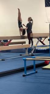 Image result for Thornton Sport Gymnastics