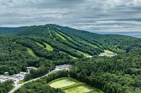 Image result for Newbury Mountain Club