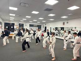 Image result for Martial Arts New Jersey