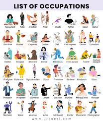 Image result for occupations
