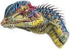 Dilophosaurus wertherelli