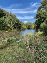 Image result for Bideford and District Angling Club