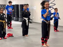 Image result for Action Karate