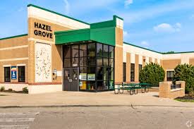 Image result for Hazel Grove