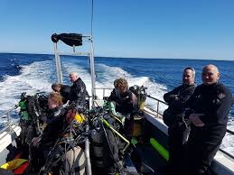 Image result for Mole Valley Sub Aqua Club