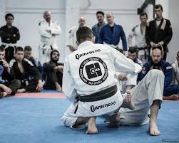 Image result for Basingstoke SMRTJ Jiu Jitsu