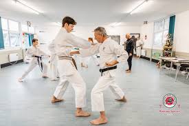 Image result for MIDDLESBROUGH KARATE ACADEMY