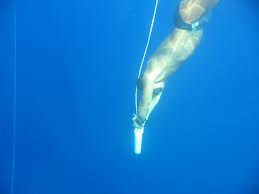 http://t0.gstatic.com/images?q=tbn:ANd9GcQUIH7BhctqMvtt86ov5txGKGygxNd0O2fcwOWdZ5iS3apES5nLsQ