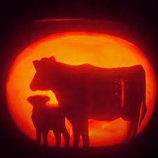 Image result for Teamsheep