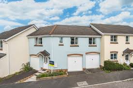 Image result for Newton Abbott Knights