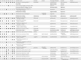 Attēlu rezultāti vaicājumam “Leiocolea rutheana cells”