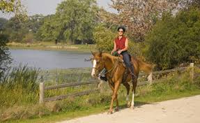 Image result for Greenways Riding Stable Lower Eashing
