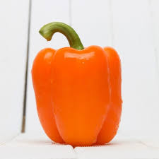 Afbeeldingsresultaat voor orange sun sweet pepper