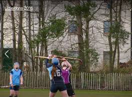 Image result for Cornwall Shinty Club