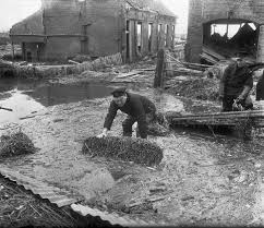 Image result for zeeland 1953