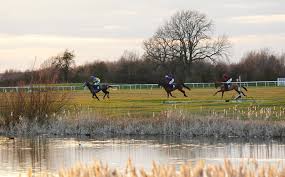 Image result for Huntingdon and District Riding Club