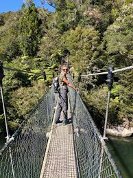 Image result for PONT DE SINGE
