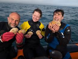 Image result for London Hellfins