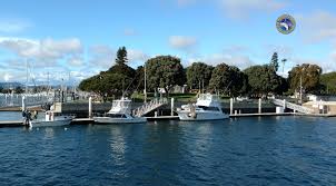 Image result for Bay Malton Angling Club