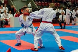 Image result for Su-Ha-Ri-Wado Karate School