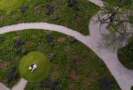 Image result for Piet Oudolf