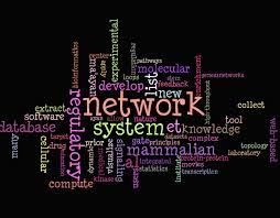 Image result for wordcloud