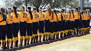 Image result for Lions Softball Club