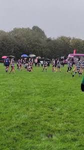 Image result for Hull Dockers Rugby League Football Club