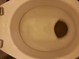 Image result for german toilet