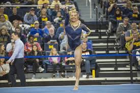 Image result for Arabian School Of Gymnastics