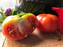 Afbeeldingsresultaat voor marmande jaune tomato