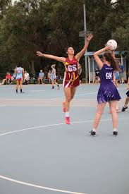 Image result for Wombles Netball Club