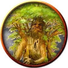 Image result for treant