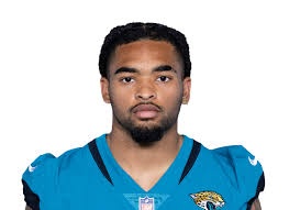 Image result for Newsome Panthers J A R L F C