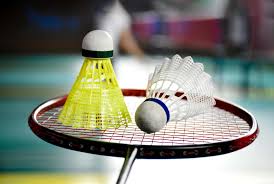 Image result for Devizes Badminton Club