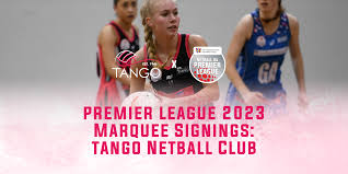 Image result for Newdigate Netball Club